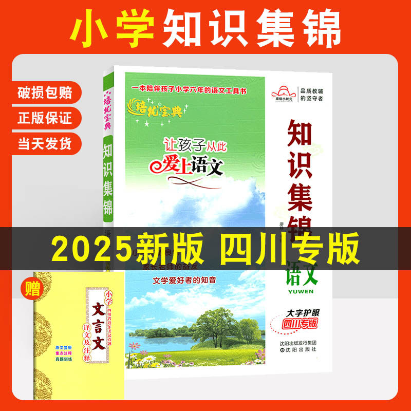 知识集锦四川专版语文