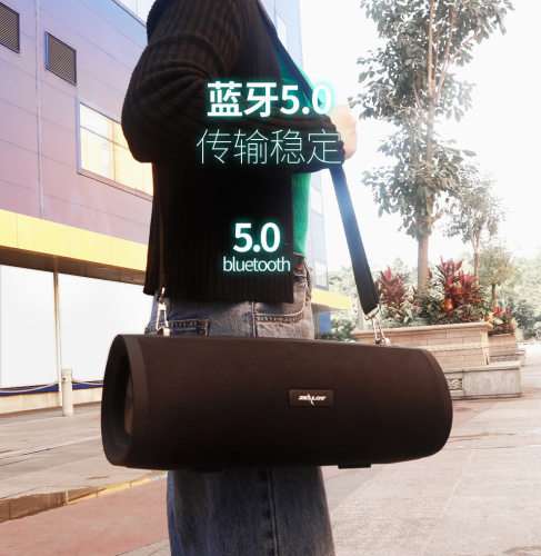 ZEALOT狂热者S39户外便携手提蓝