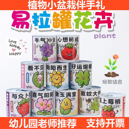 幸运草桌面创意易拉罐盆栽