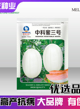 甜瓜种子高产中熟中科蜜厚皮香瓜种籽中科茂华白皮红肉新疆甜瓜孑