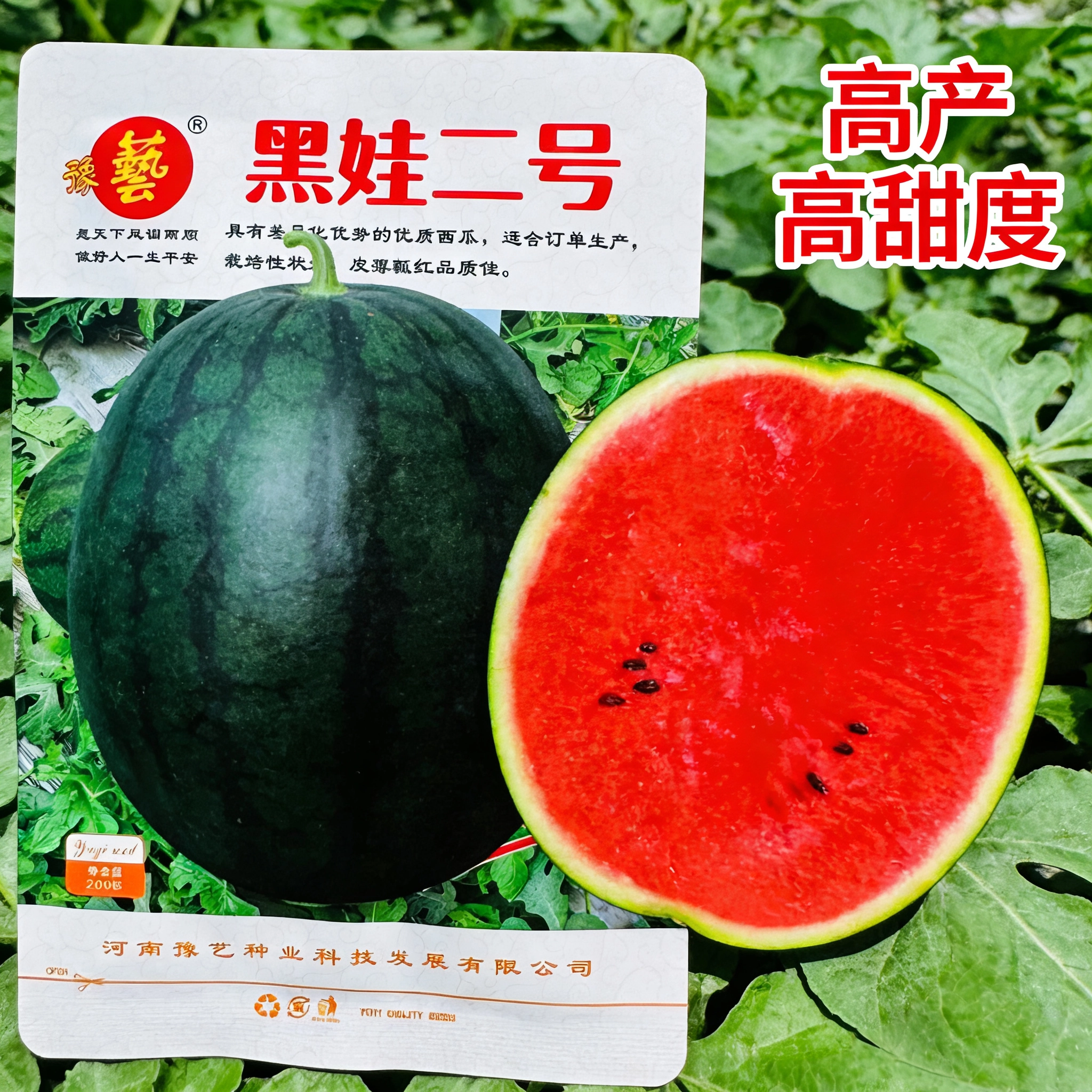 豫艺黑娃二号西瓜种子高产高甜度优质西瓜籽庭院盆栽南北方种植