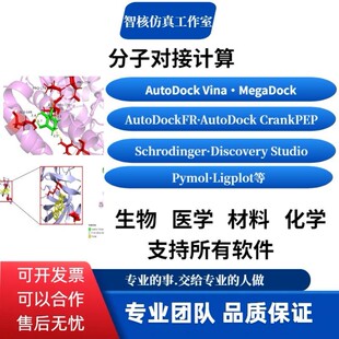 蛋白DNA 代算分子对接 小分子 蛋白 蛋白共价刚柔性分子代算 RNA