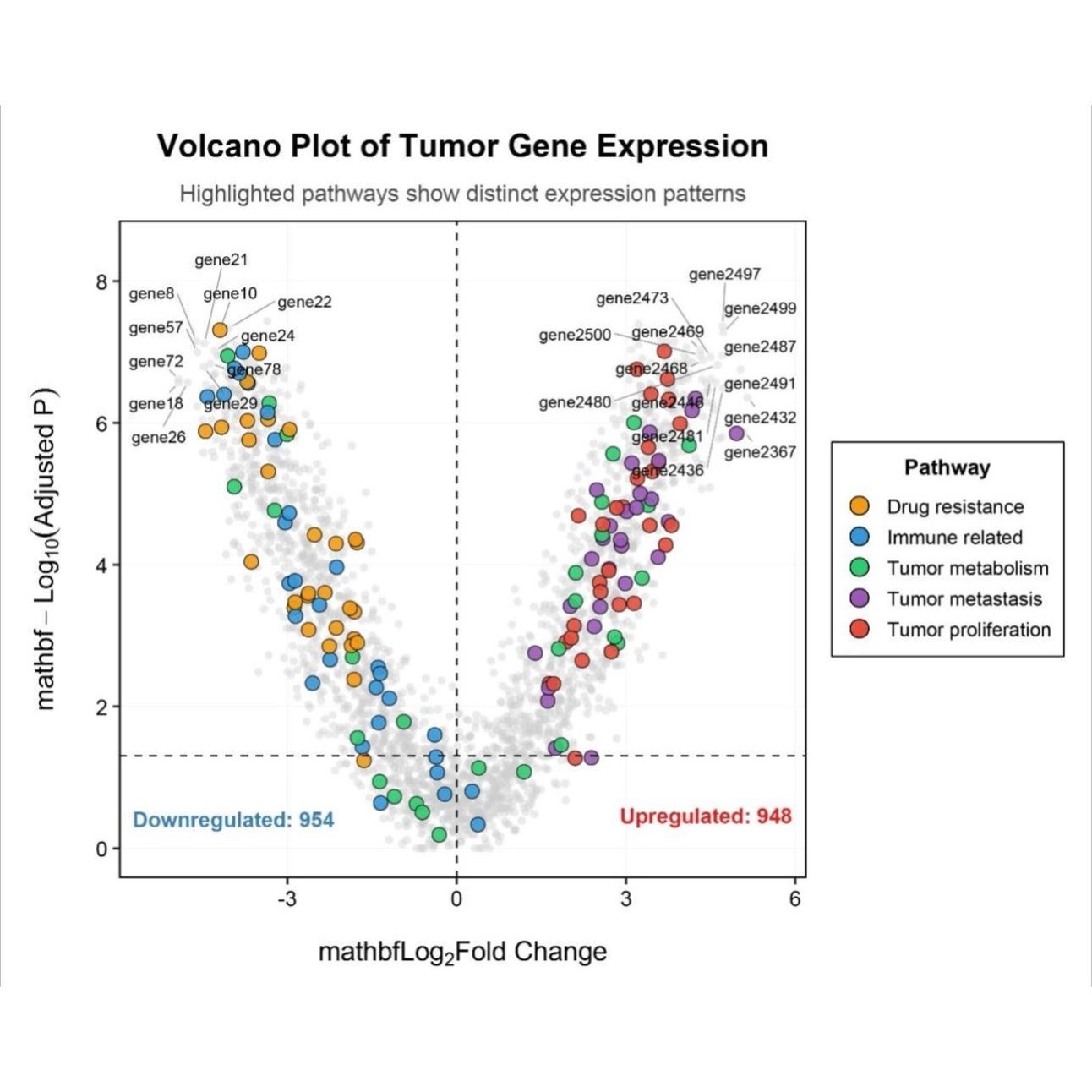 中药复方网络毒理学毒性靶点预测风险评价