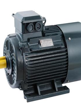 Y2-200L1-6-18.5W三相异步交流电机全铜卧式厂家直供质保