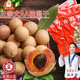 新货广西大桂圆干龙眼干新货500g干桂圆非无核桂圆肉龙眼肉老树