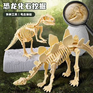 挖掘恐龙化石考古玩具模型挖宝套装盲盒石膏材料儿童二年级科学