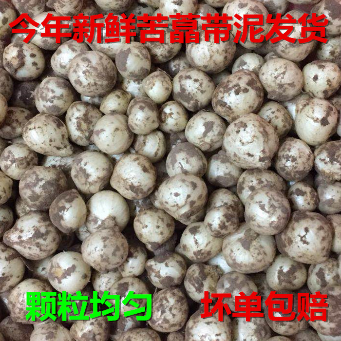 苦藠四川特产新鲜团蒜小蒜团葱野苦茭野葱头圆蒜小头蒜小根蒜洋蒜