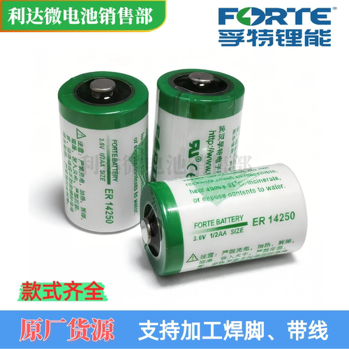 孚特ER142503.6V台达编程器PLC