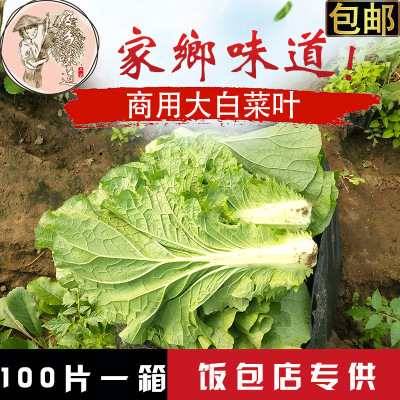 白菜叶饭包东北饭包店新鲜大白菜