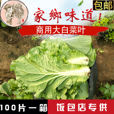 白菜叶饭包东北饭包店新鲜大白菜