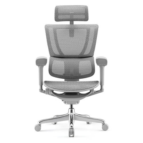 Ergonor保友优b雄鹰 电脑椅人体工学椅家用 电竞椅办公椅子靠背椅