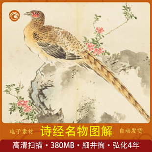 诗经名物图解 高清 細井徇撰绘 弘化4年自序绘画素材学习设计