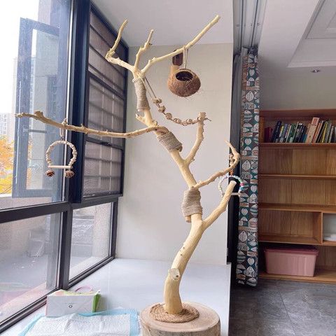 干树枝原木杈艺术枯鸟站