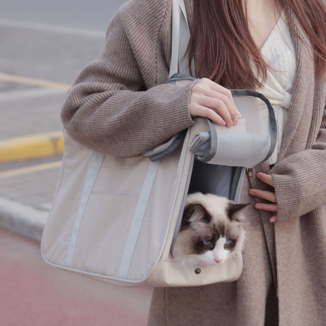 猫包夏天外出便携手提咪