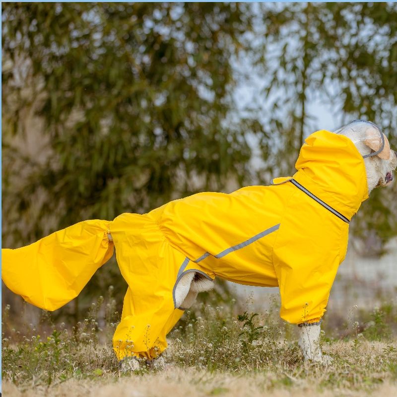 狗狗雨衣宠物全包边牧金
