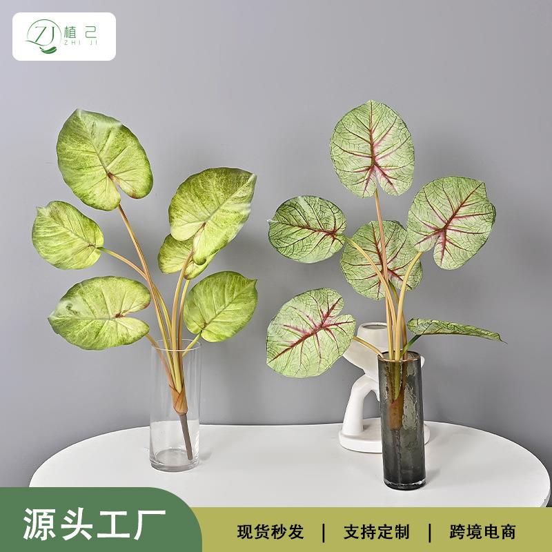 仿生绿植心管芋软装造景家居摆设源头厂家彩芋叶绿萝把束