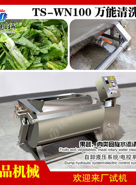 万能全自动翻斗清洗机 肉类蔬菜清洗设备 商用气泡果蔬清洗机