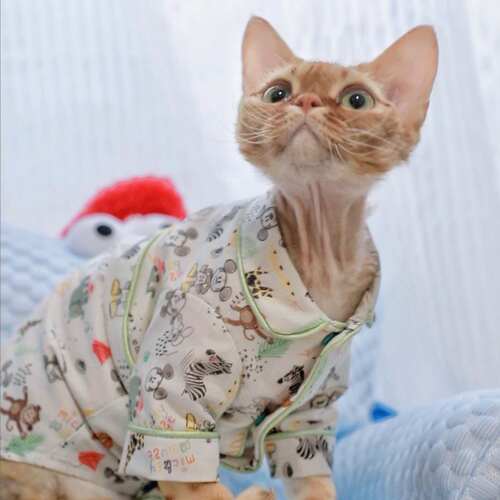 Pico 米老鼠居家服德文猫衣服无毛猫斯芬克斯衣服迪士尼睡衣衬衫
