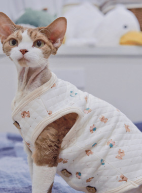 Pico 德文猫衣服无毛猫斯芬克斯衣服秋冬保暖马甲菱格纹夹棉马甲