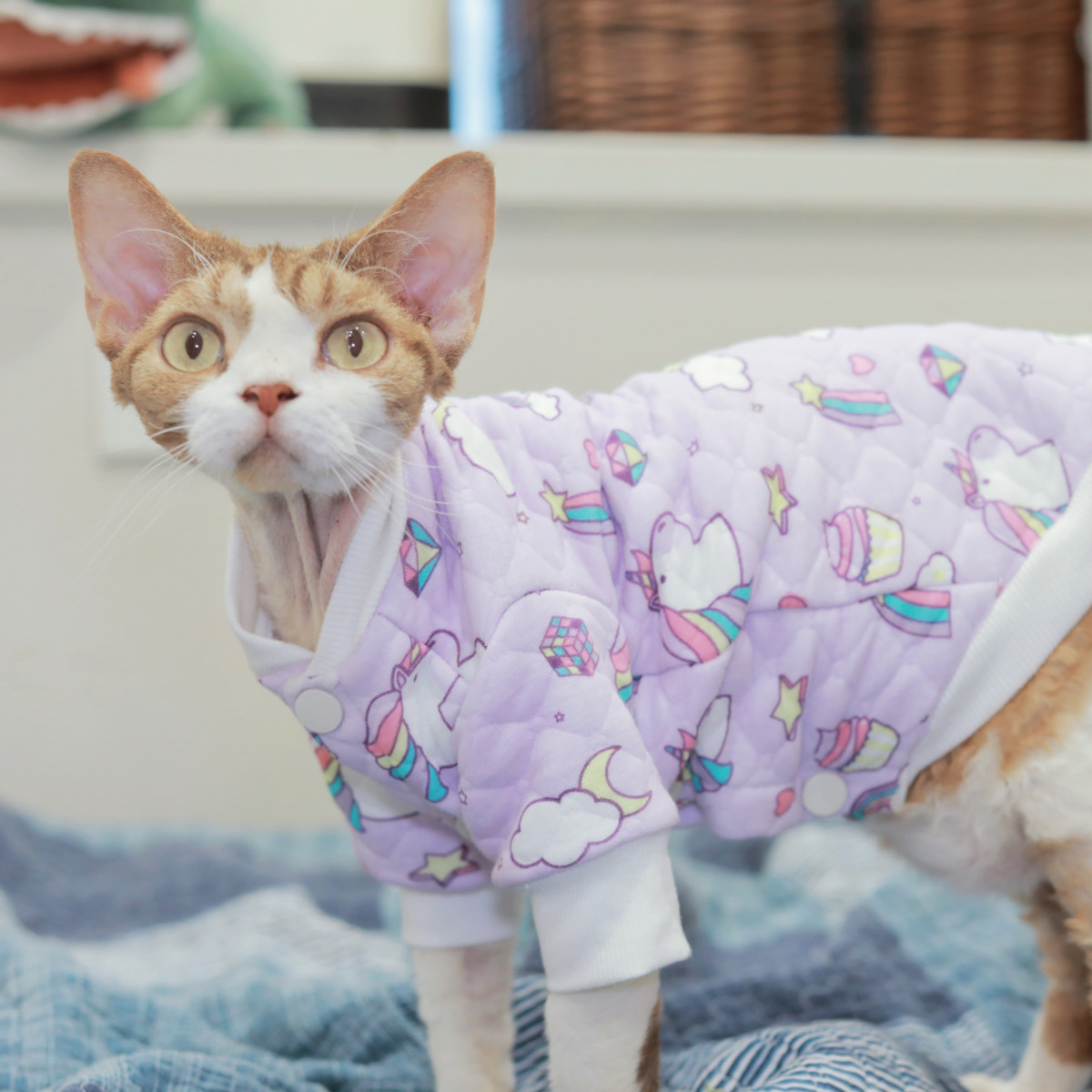 Pico 德文猫衣服长袖开衫无毛猫斯芬克斯衣服秋冬夹棉独角兽马甲