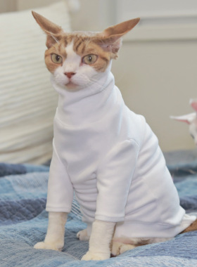 Pico 德文猫衣服无毛猫斯芬克斯衣服秋冬双面德绒高领保暖内衣
