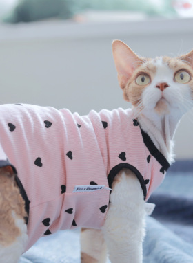 Pico 德文猫衣服无毛猫斯芬克斯衣服四季全棉薄款爱心包肚四脚衣