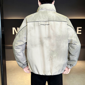 模特  2025冬季男士立领新标90白鸭绒羽绒服  91875 P310  米白图片