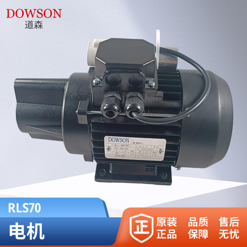 利雅路燃烧机器进口油泵电机RLS70/100/130/250道森电机马达220V