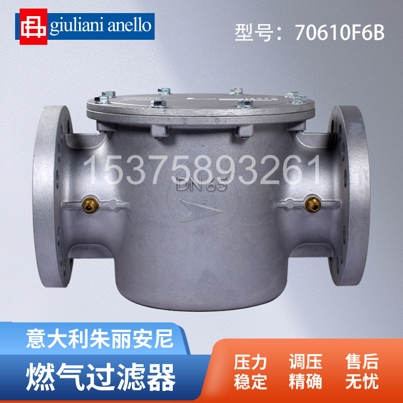 朱丽安尼DN65过滤器70610F6B