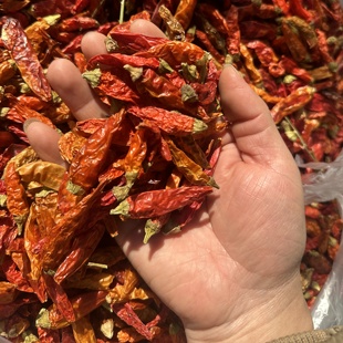 实物拍摄湖南常德黄干辣椒特辣特香农家晒干巨辣野山椒500g包邮