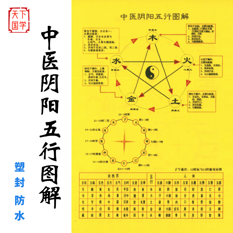 中医五行生克图金木水火土