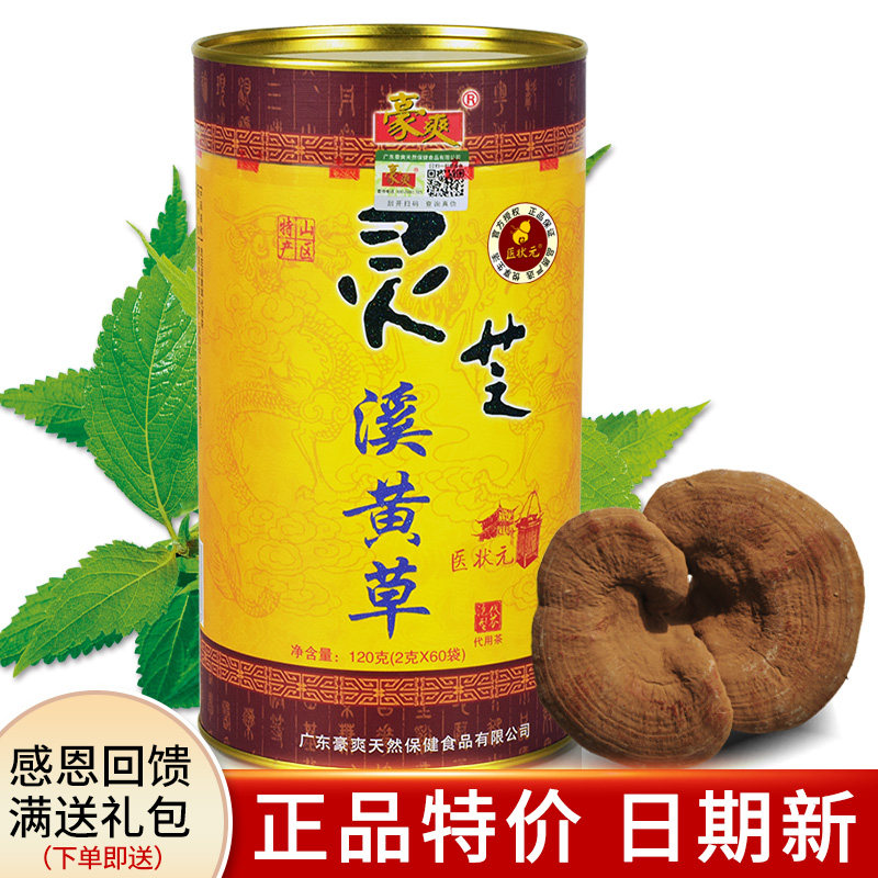 正品豪爽灵芝溪黄草金罐装 连州溪黄草免煮袋泡茶熬夜烟酒应酬多