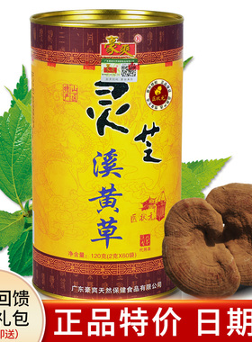 正品豪爽灵芝溪黄草金罐装 连州溪黄草免煮袋泡茶熬夜烟酒应酬多