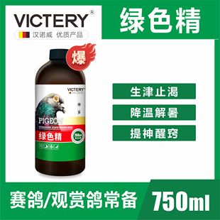汉诺威绿色精鸽子 鹦鹉清火解暑降生津解渴提神醒窍化湿排酸
