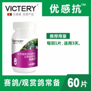 汉诺威优感抗鸽子鹦鹉单眼流泪张口呼吸支原体衣原体呼吸道