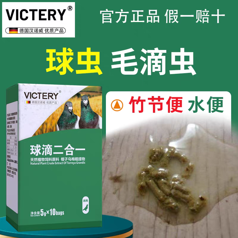 汉诺威球虫节便毛滴虫竹节便鸽子