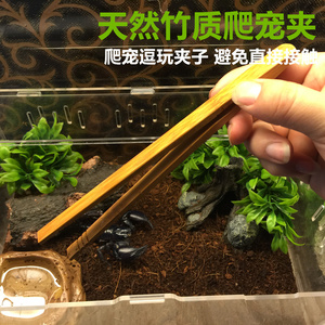 竹夹不伤爬宠爬虫活食逗完夹子竹镊子