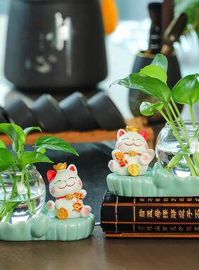 招财猫水培花瓶创意绿萝水养花器