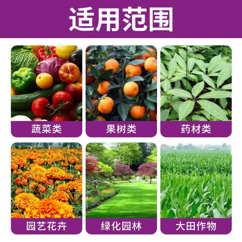 施美特螯合糖醇钙镁硼叶图片