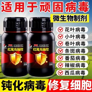 红尾鸟病毒康辣椒西红柿黄瓜花叶小叶卷叶黄叶病毒病专用病毒康