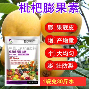 枇杷专用叶面肥枇杷膨大增甜剂枇杷保花保果促进授粉专用肥