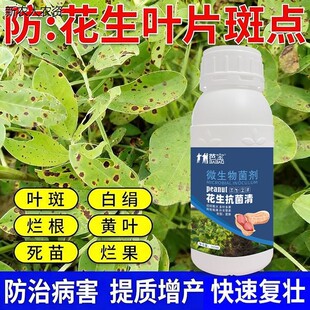 花生专用药花生卷叶花叶病害菌剂叶斑病死苗根腐白娟病锈病菌核病