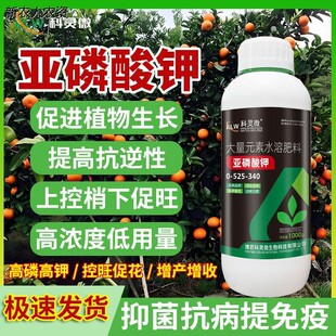 正品亚磷酸钾水溶肥柑橘草莓瓜果蔬菜通用控梢补磷钾农用叶面肥