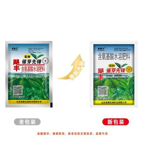 瑞普生飓风催芽先锋茶树