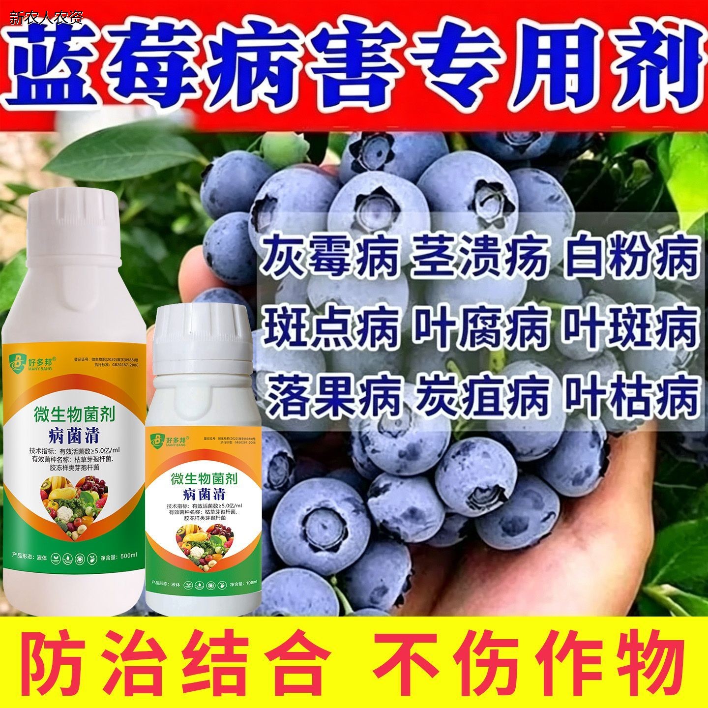 蓝莓枯枝病药灰霉病专用图片