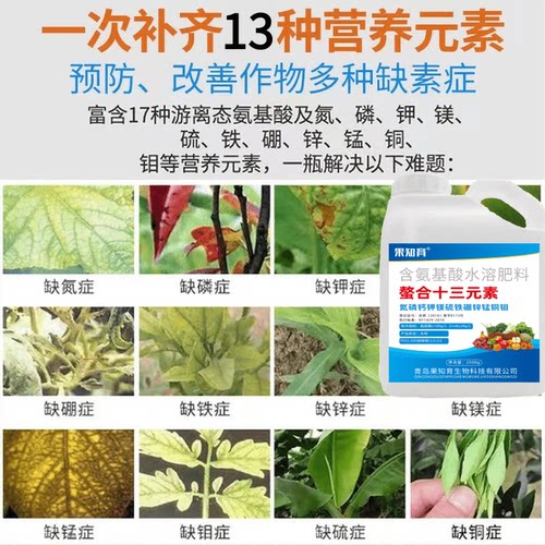 十三元素氨基酸叶面肥氮