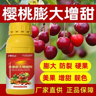 樱桃专用膨果素果实膨大剂膨大剂超甜去涩加糖甜蜜素着色增甜