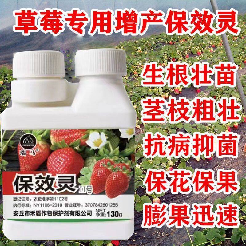 草莓膨大素保花保效灵保花提苗促保果花芽分化增产授粉