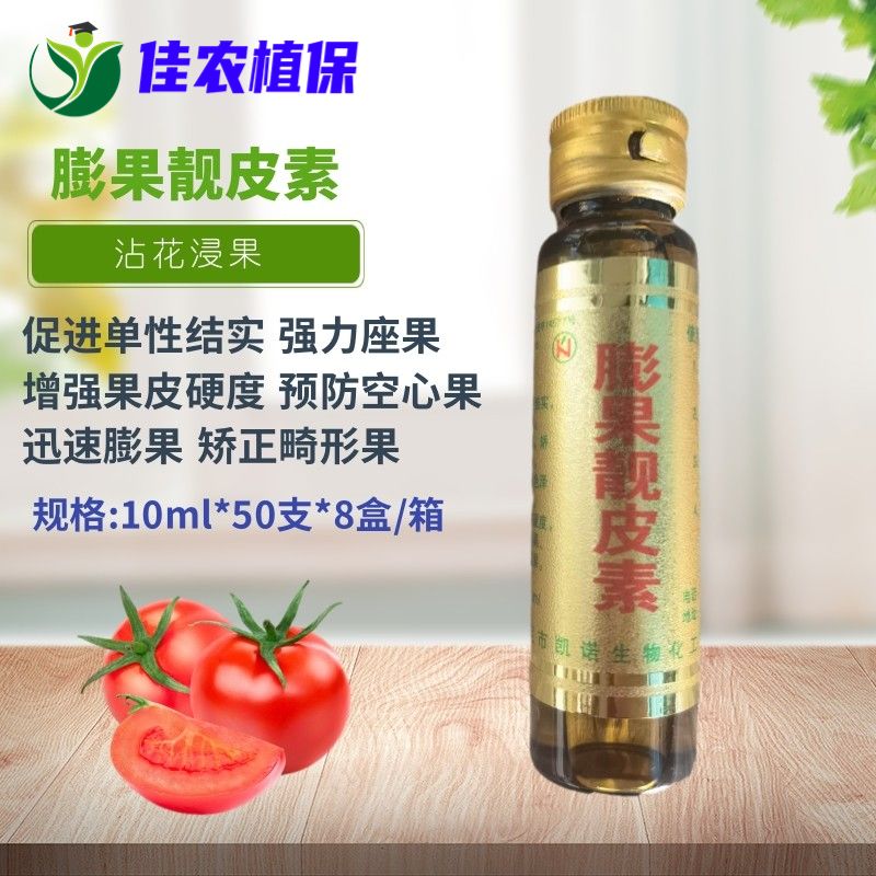 膨果靓皮素 番茄黄瓜丝瓜蘸花药点花药10ml色泽好预防裂果僵果
