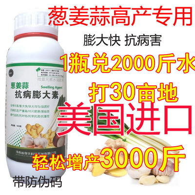 生姜大蒜大葱生根抗病叶面肥